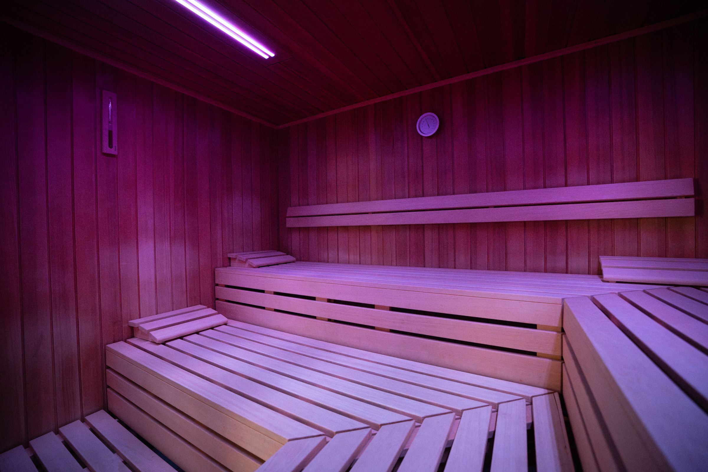 DSC01898 BioSauna